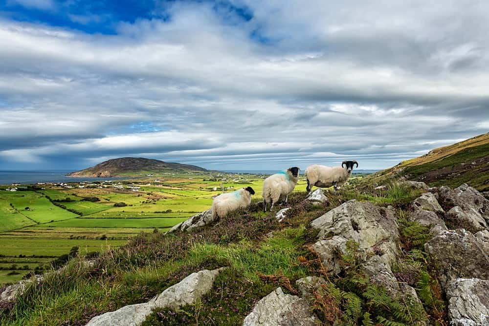 Urris Hills