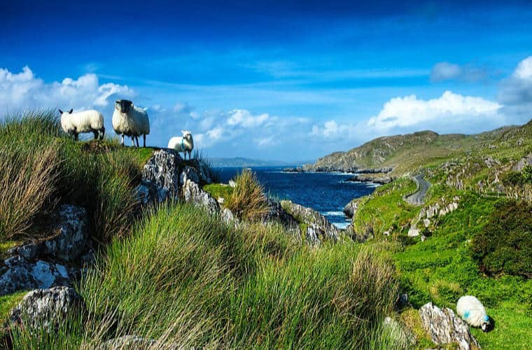 Wild Atlantic Way
